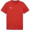 Camiseta Entrenamiento Puma TeamGoal Casual 658615-01