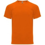 Camiseta Entrenamiento de Baloncesto ROLY Monaco CA6401-223