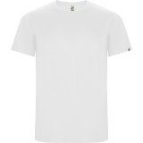 Camiseta Entrenamiento de Baloncesto ROLY Imola 0427-01